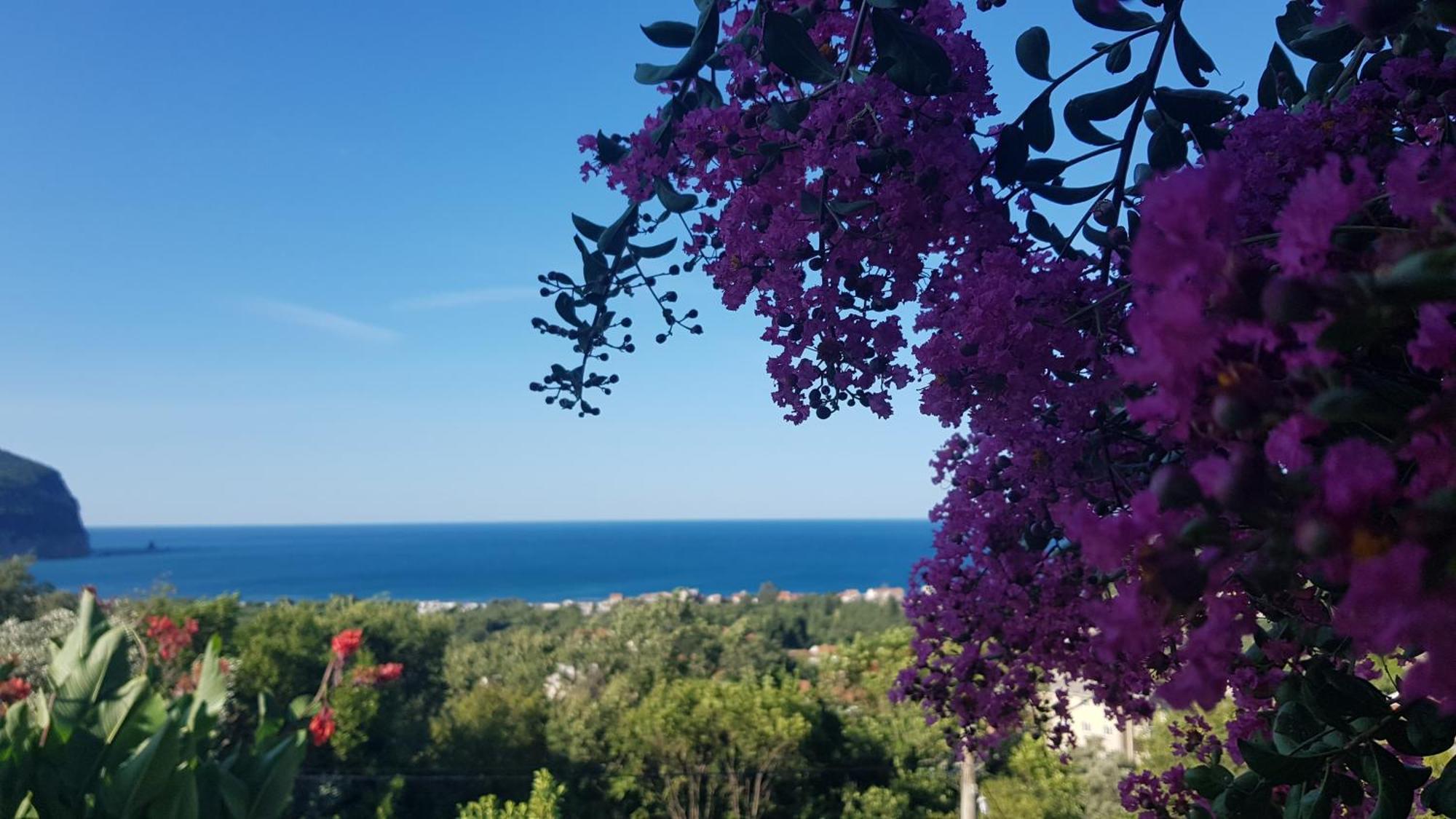 Vila Pogled Petrovac na moru Exterior foto